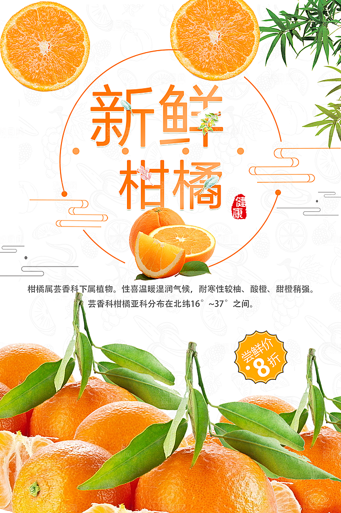 橘子蜜桔椪柑海报宣传素材