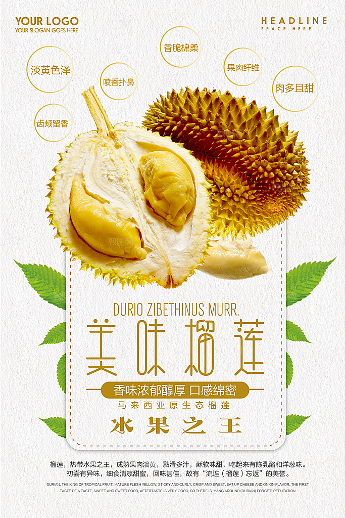 榴莲宣传海报设计素材