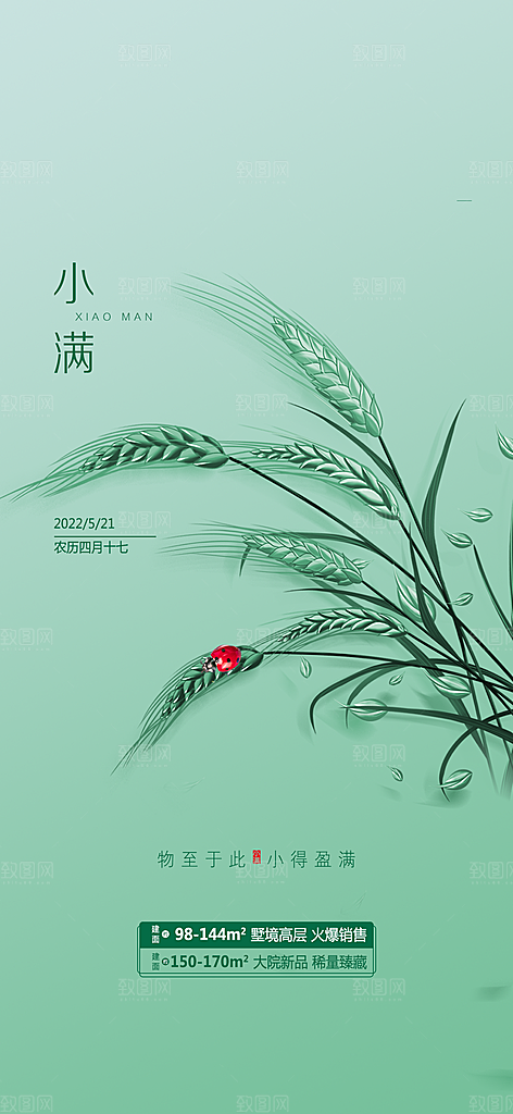 小满节气小满海报