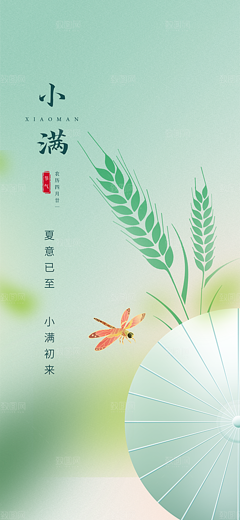 小满节气小满海报