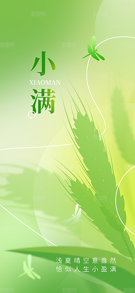 小满节气小满海报