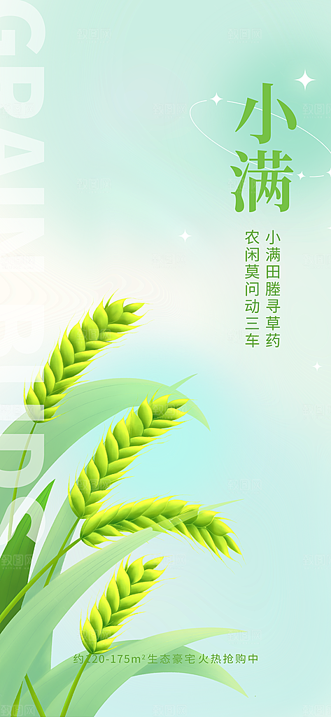 小满节气小满海报