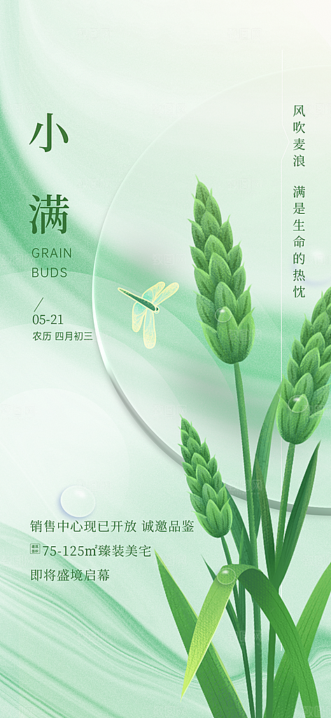 小满节气清新海报