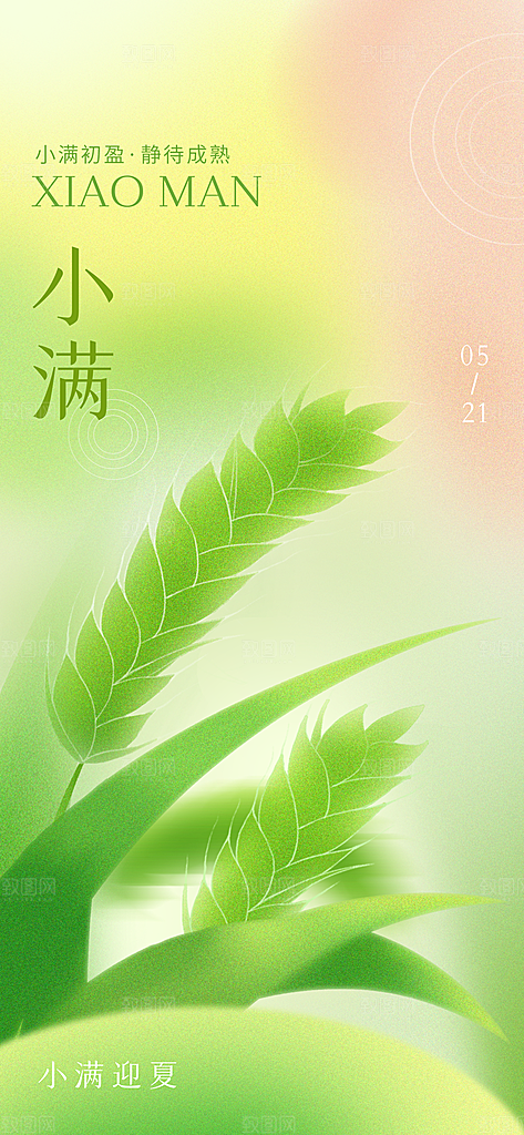 小满节气清新海报
