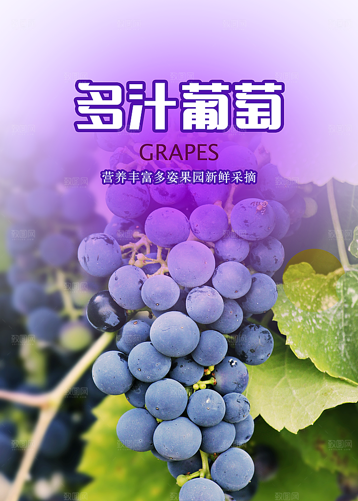 有机葡萄海报设计素材