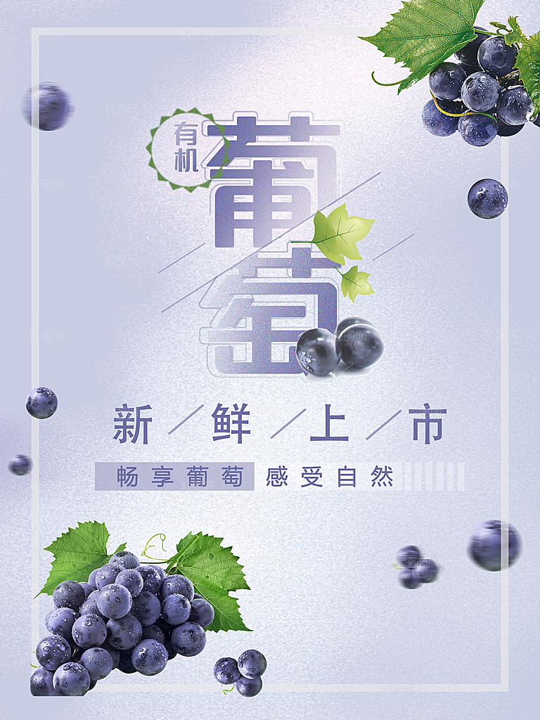 葡萄宣传海报设计素材