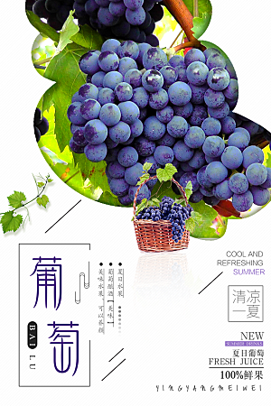 葡萄宣传海报设计素材