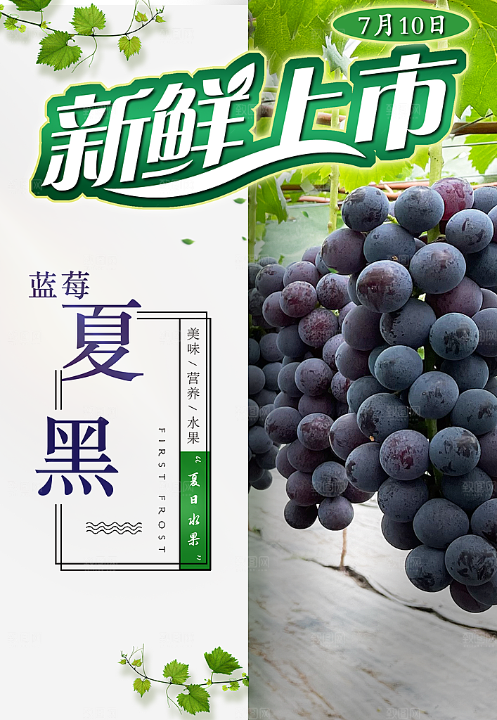 葡萄海报设计素材