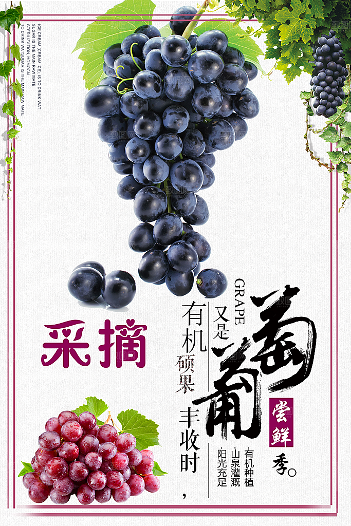 葡萄海报设计素材