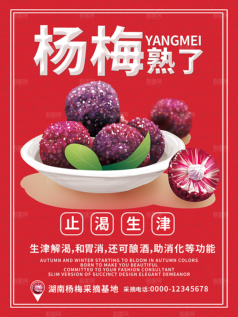 杨梅促销宣传海报