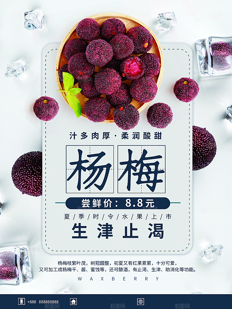 杨梅促销宣传海报