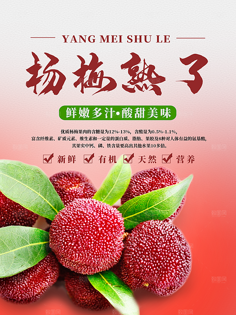 杨梅促销宣传海报
