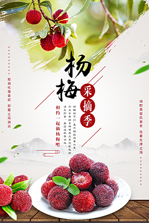 杨梅宣传海报展板设计素材