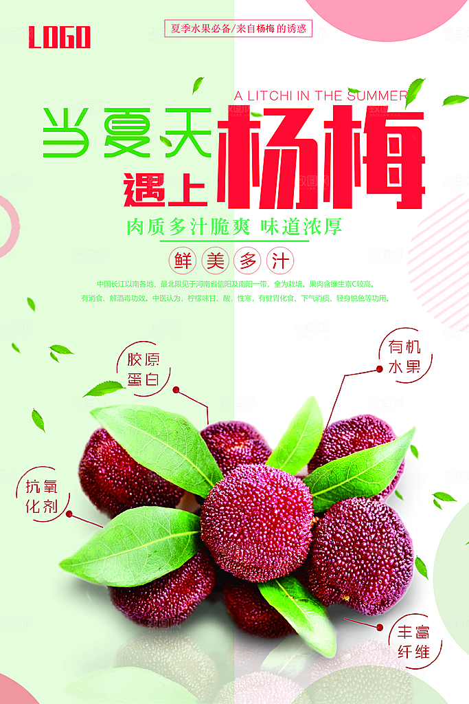 杨梅宣传海报展板设计素材