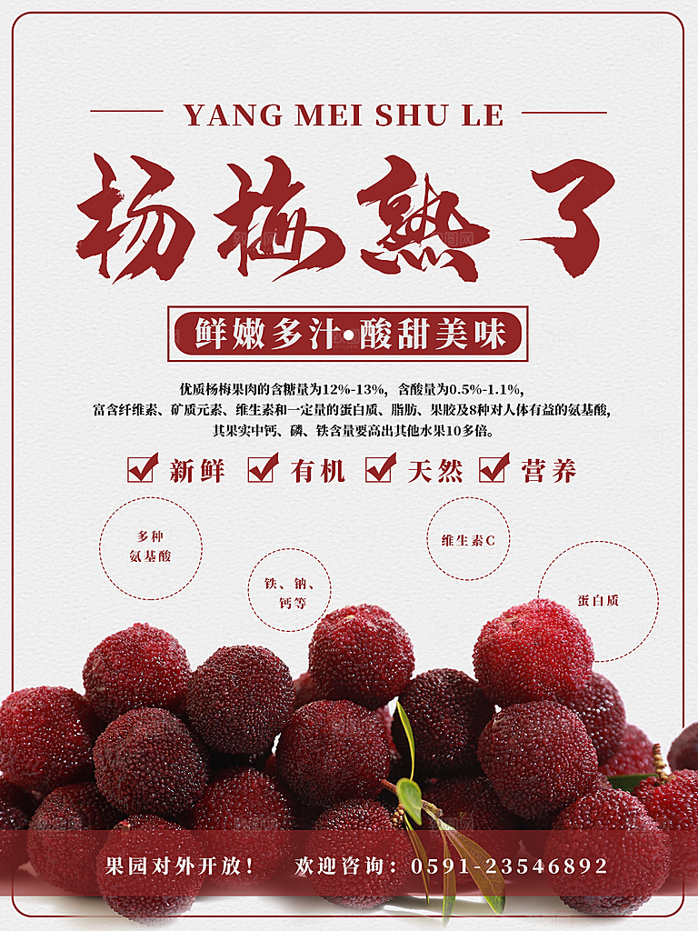 杨梅宣传海报展板设计素材
