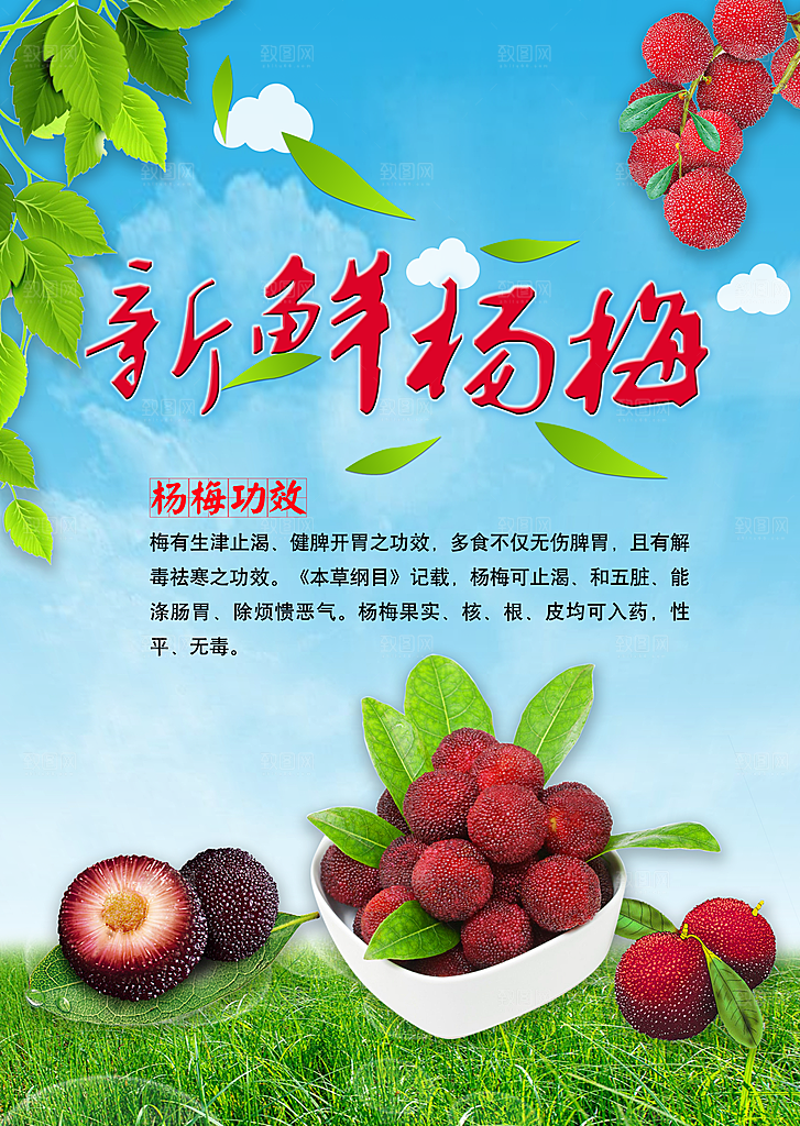 杨梅宣传海报展板设计素材