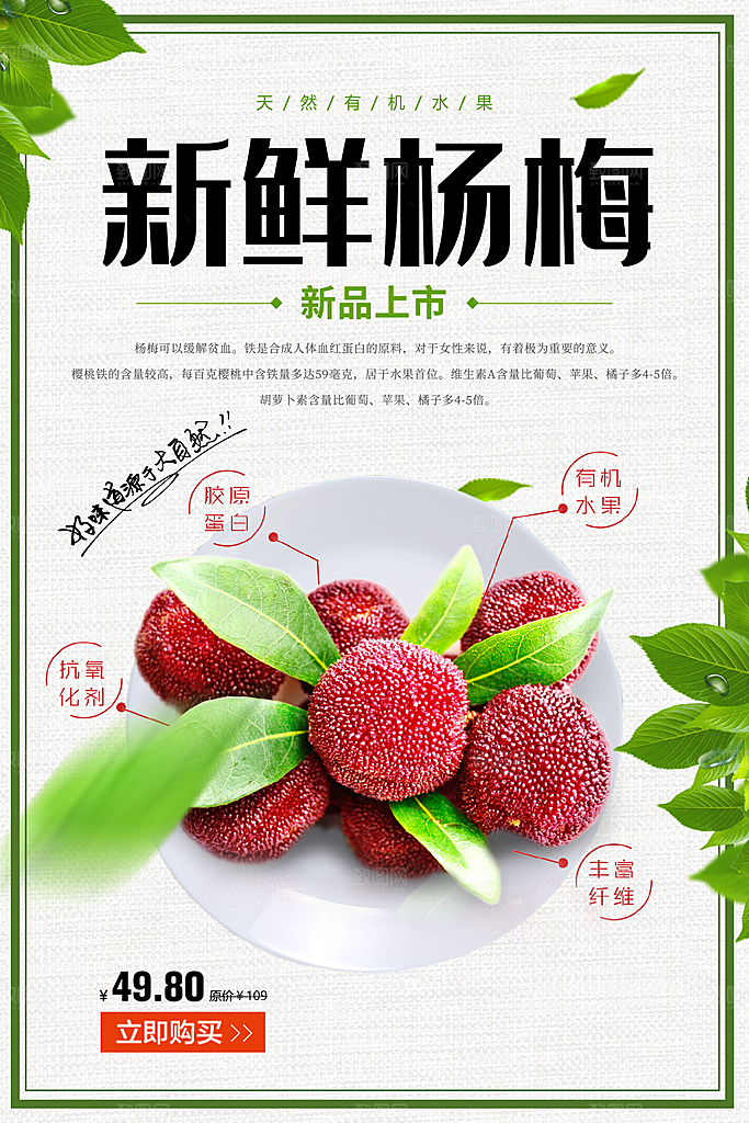 杨梅宣传海报设计