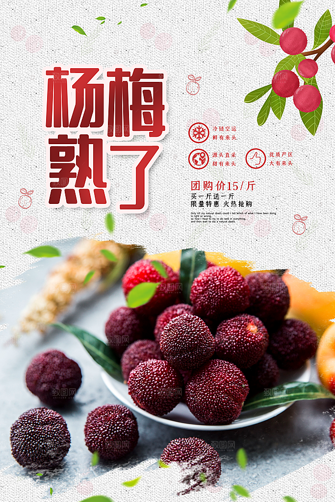 杨梅宣传海报设计