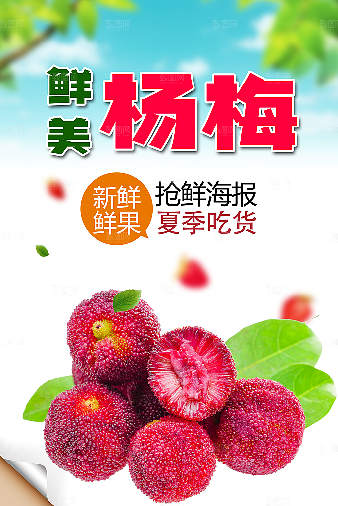 杨梅促销海报宣传