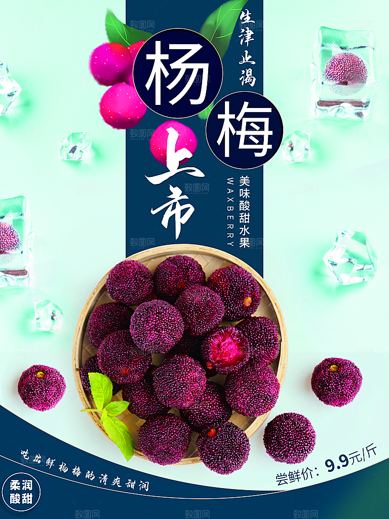 杨梅海报设计素材