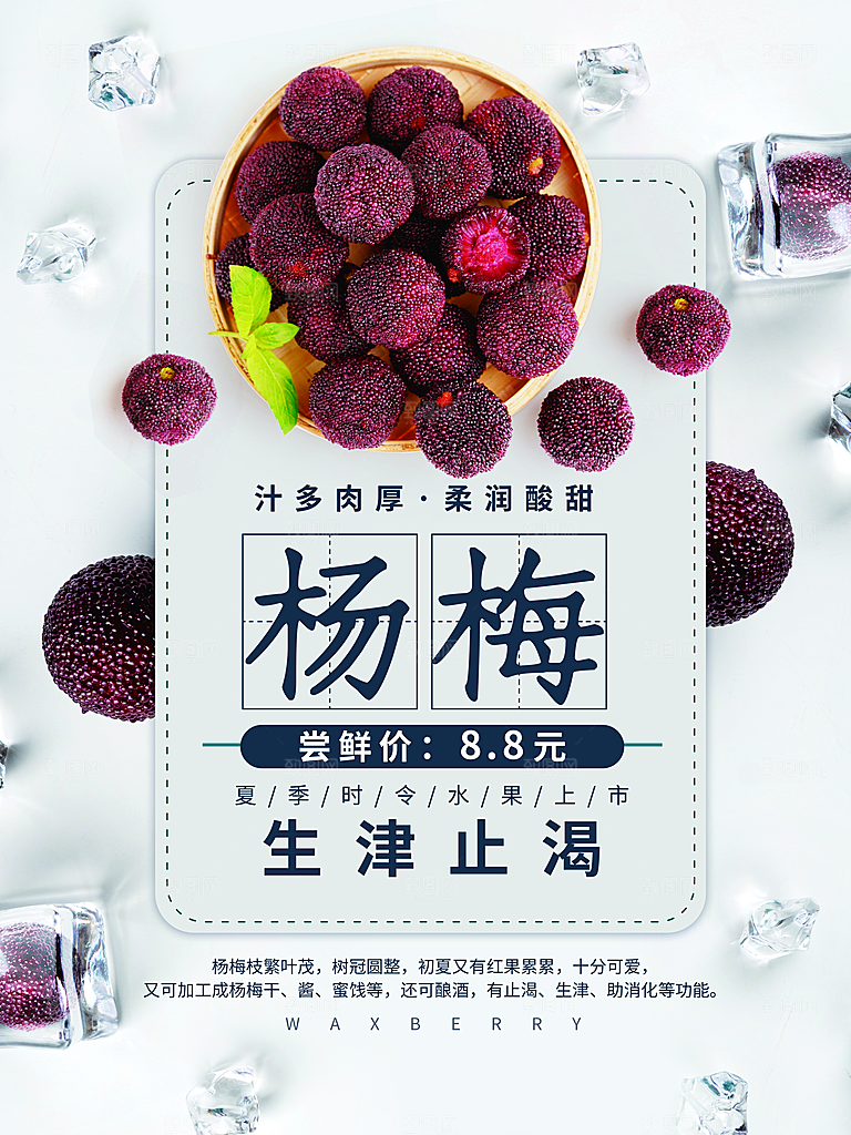 杨梅海报设计素材