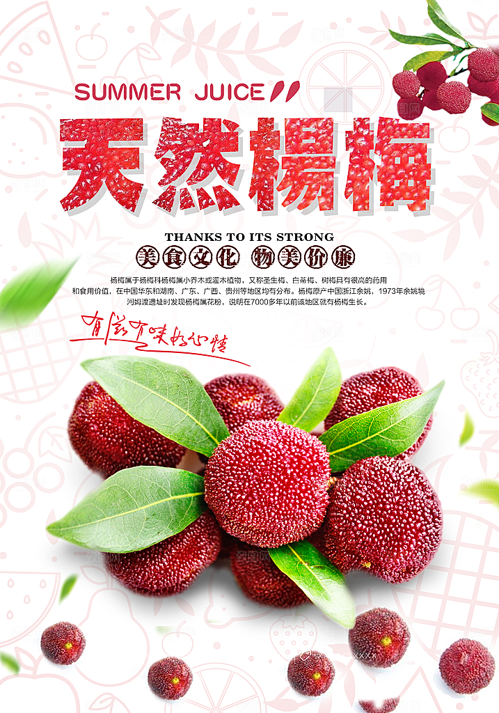 杨梅宣传海报设计素材