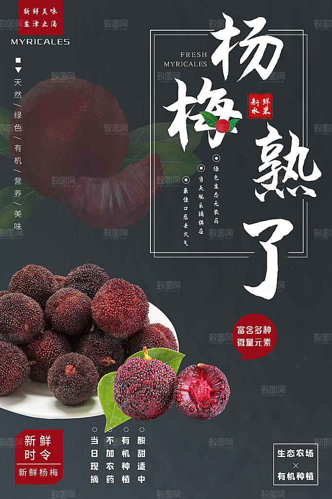 杨梅宣传促销海报设计