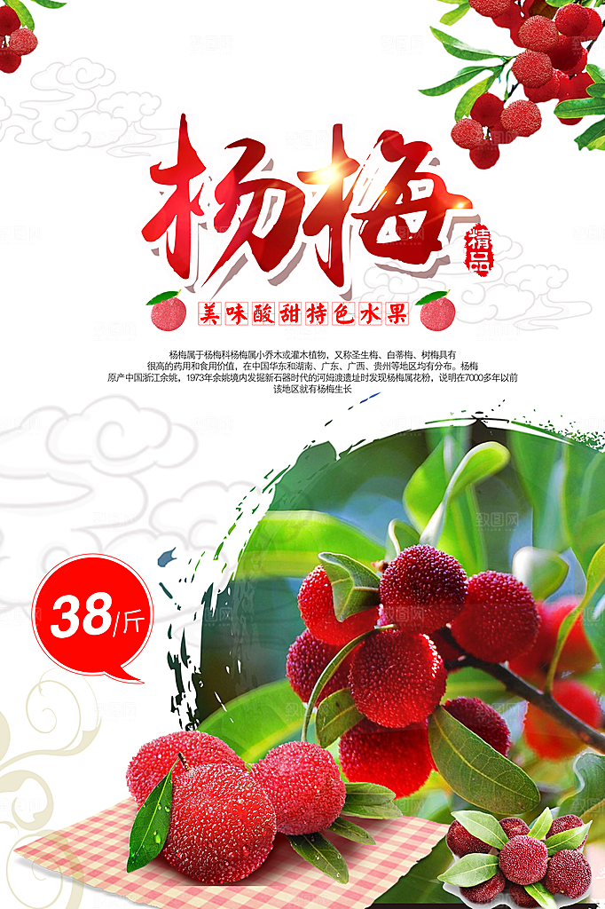 杨梅宣传促销海报设计