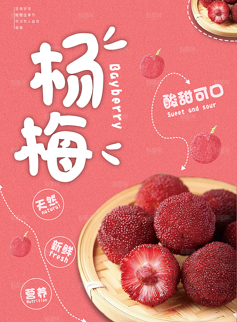 杨梅宣传促销海报设计