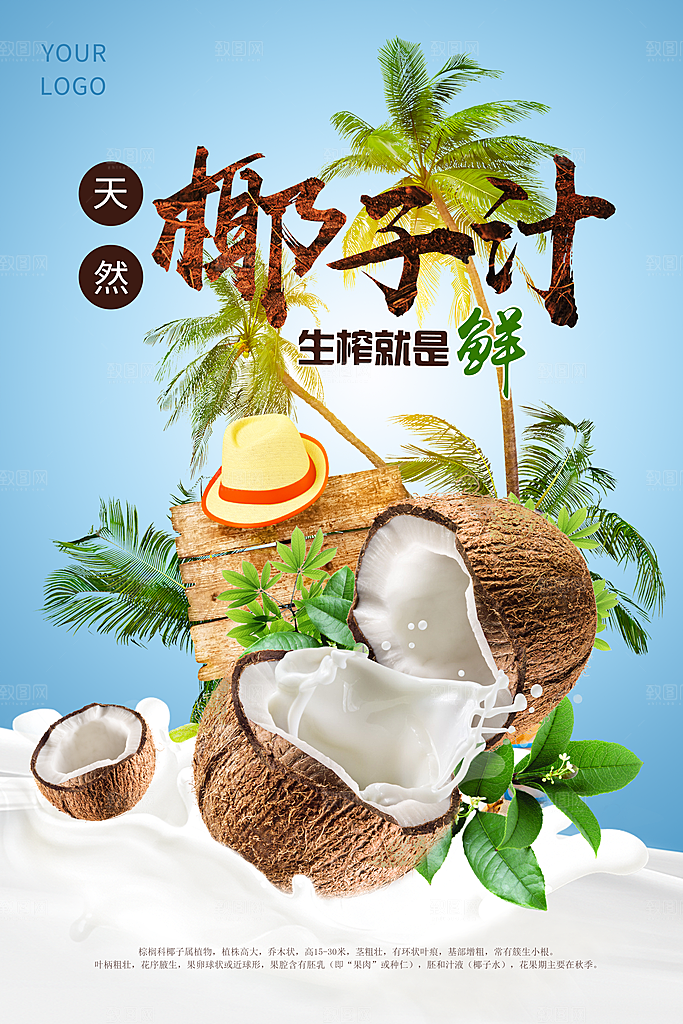 椰子汁宣传海报设计
