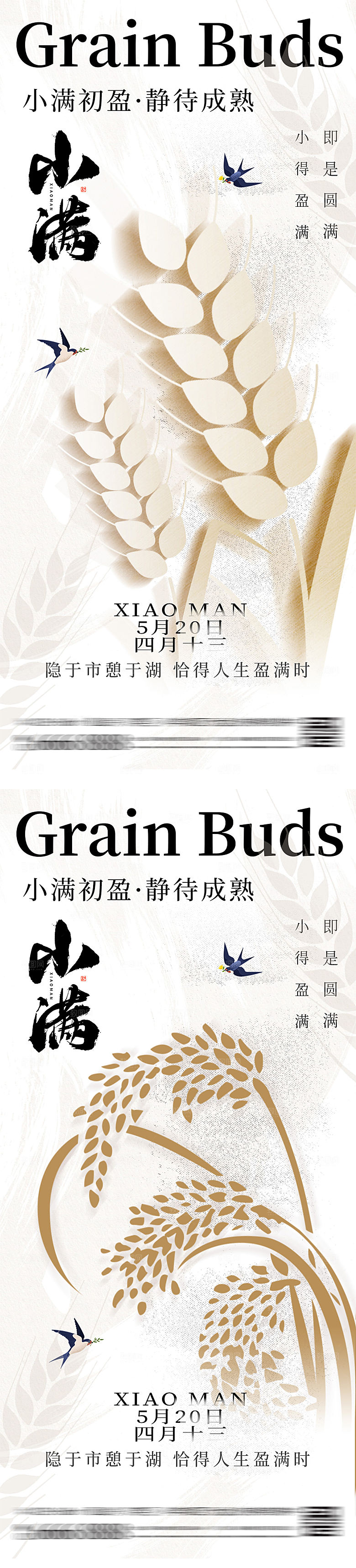小满节气系列海报