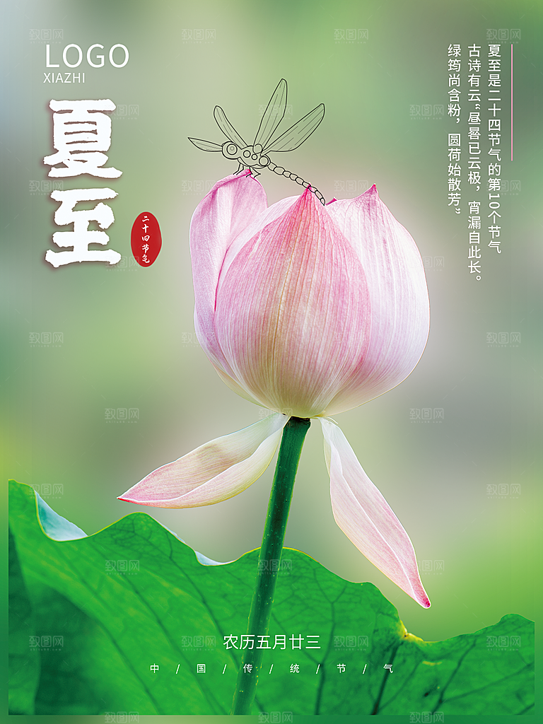 夏至节气简约大气海报
