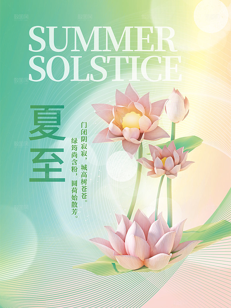 夏至节气简约大气海报
