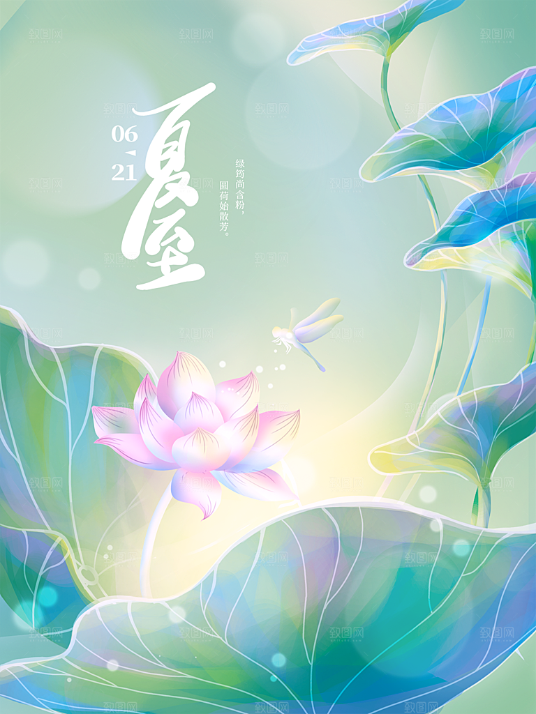 夏至节气简约大气海报