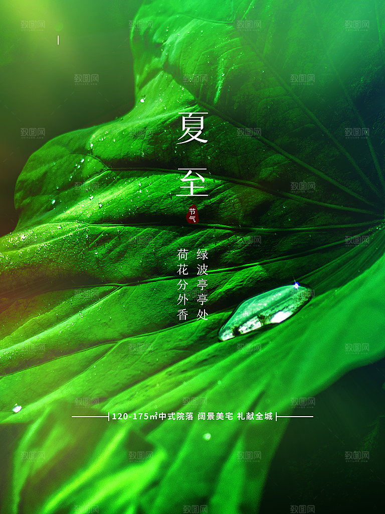 夏至节气简约大气海报