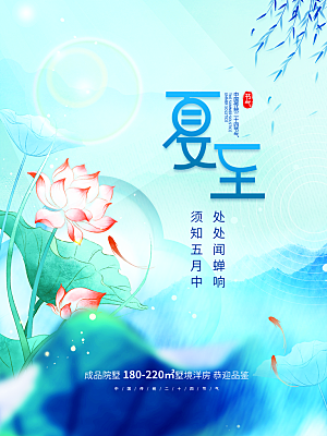 夏至节气简约大气海报