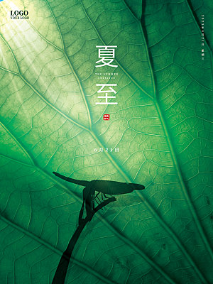 夏至节气简约大气海报