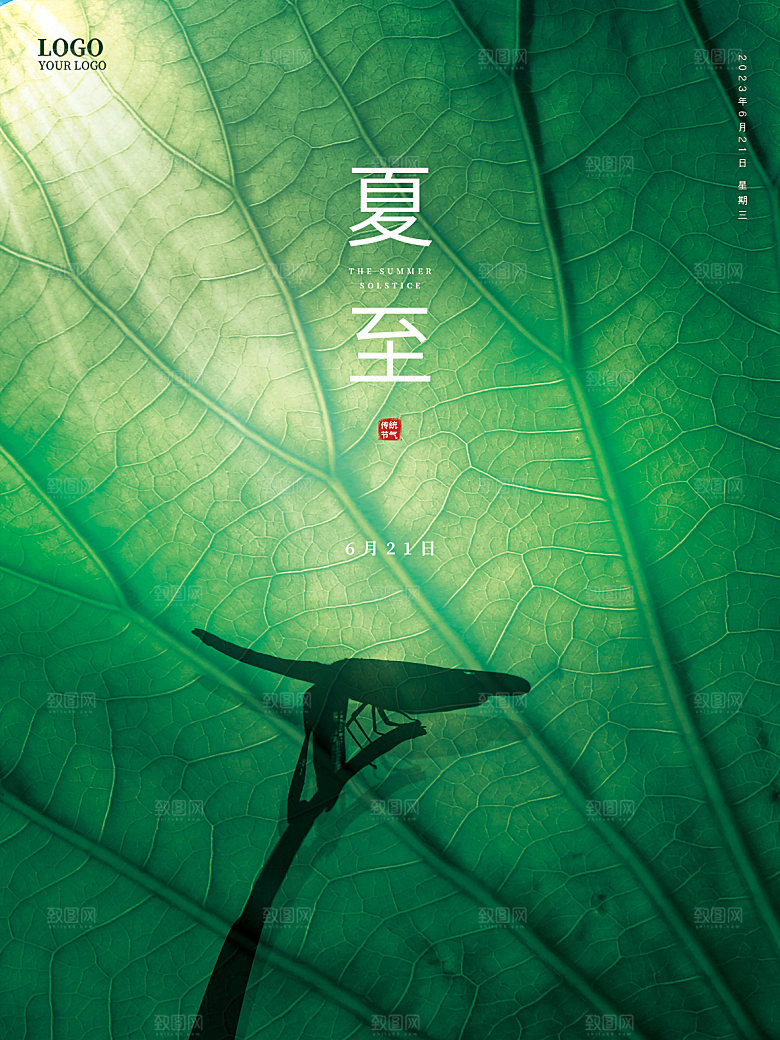 夏至节气简约大气海报