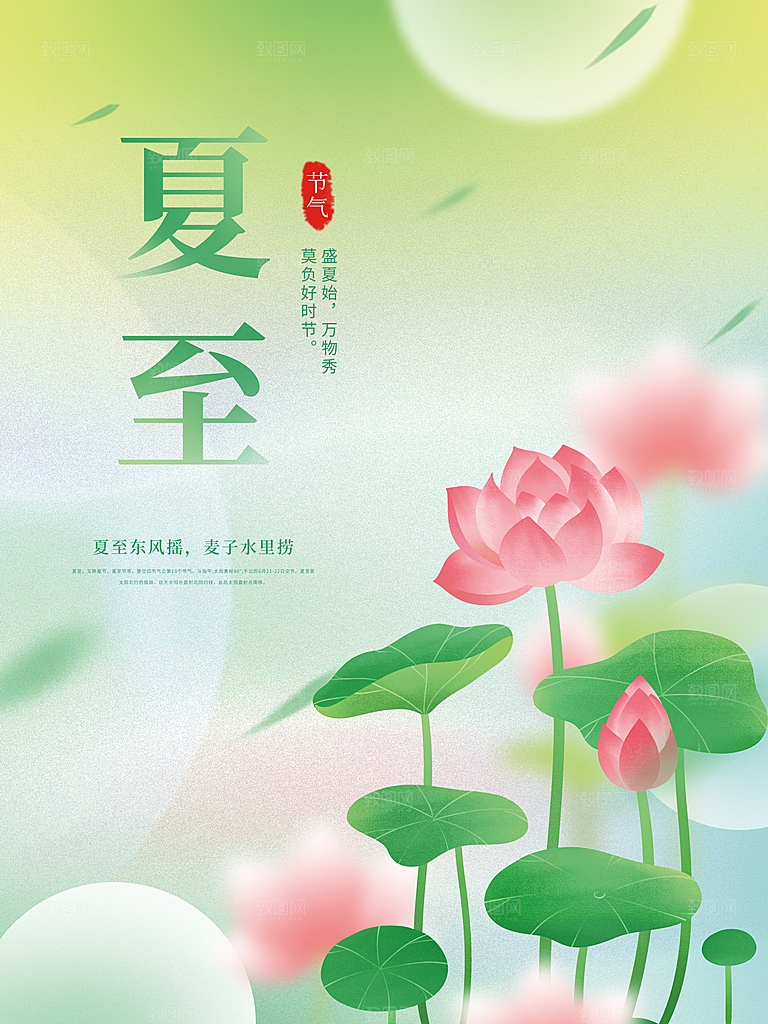 夏至节气简约大气海报