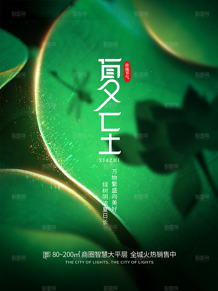 夏至节气简约大气海报