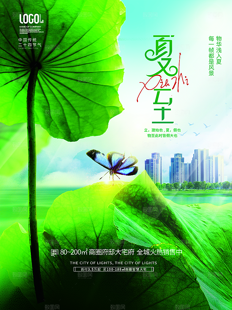夏至节气简约大气海报