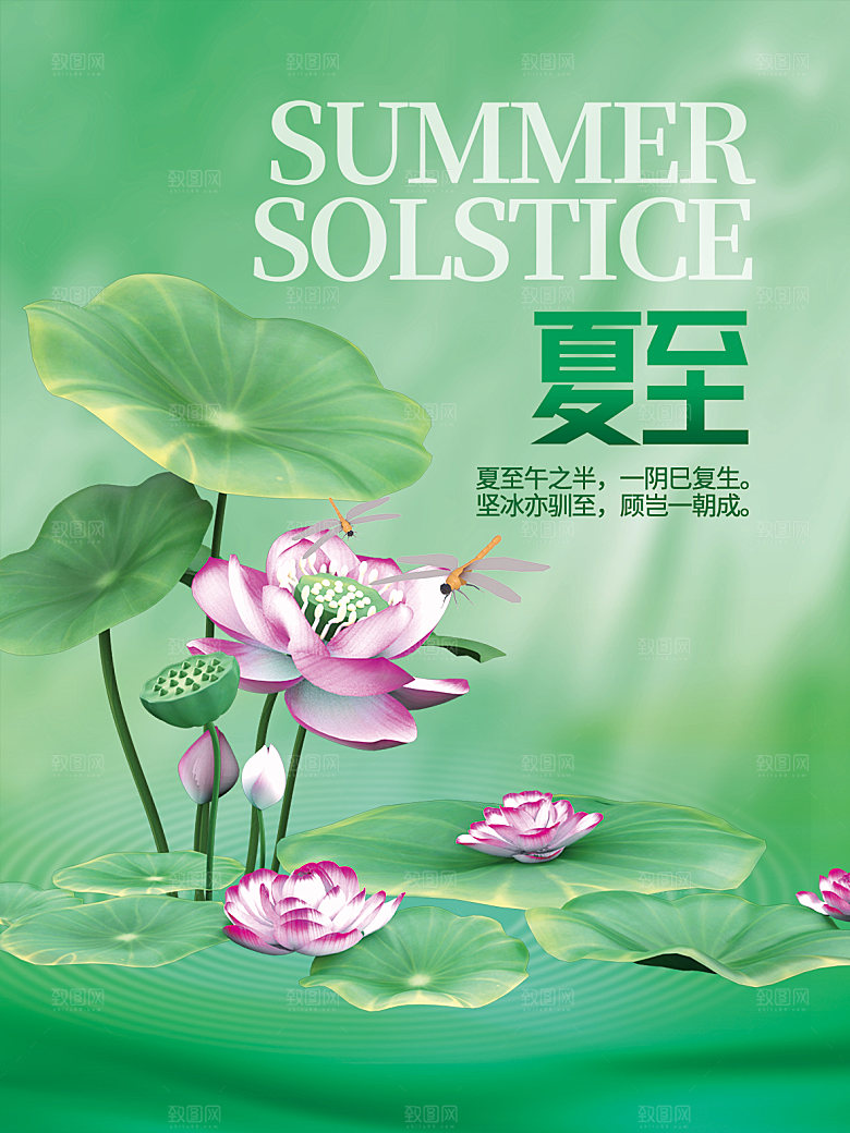 夏至节气简约大气海报