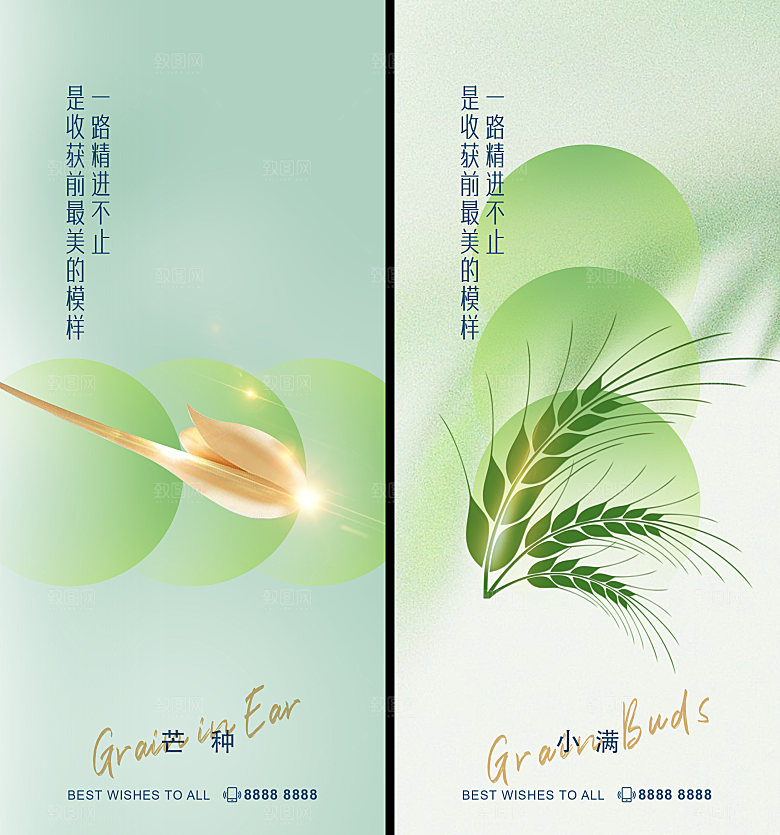 小满节气小满海报