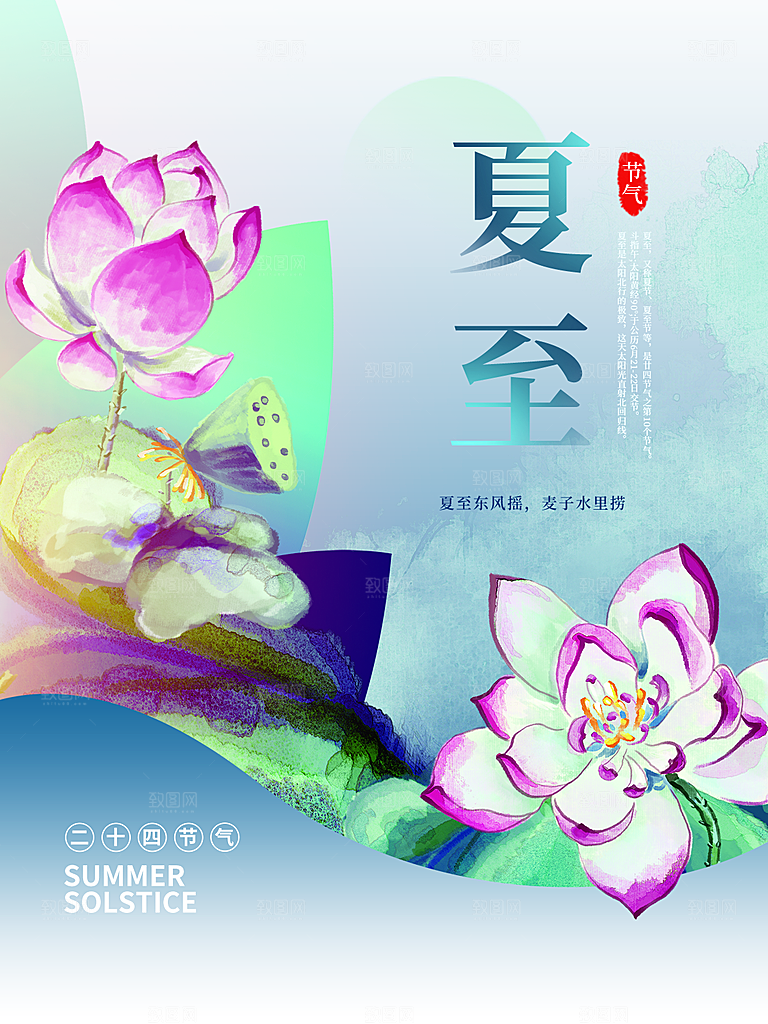 夏至节气简约大气海报
