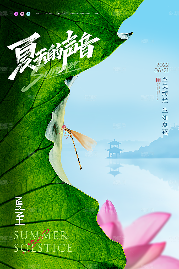 夏至节气简约大气海报