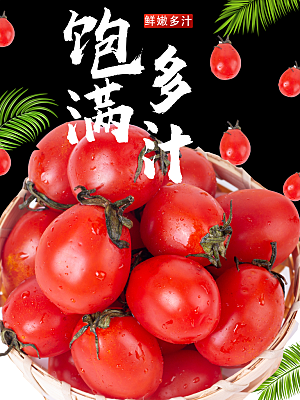 圣女果小番茄宣传海报