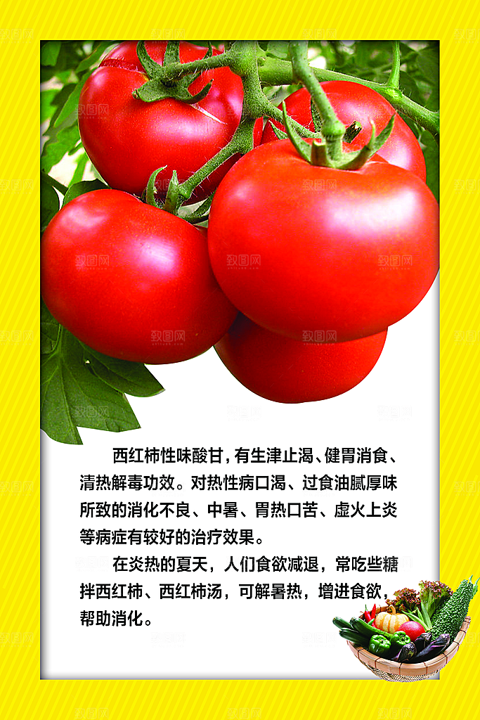 西红柿海报设计素材