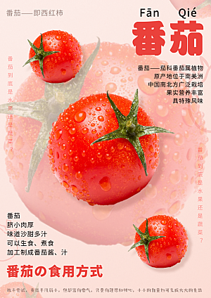 番茄西红柿海报设计素材