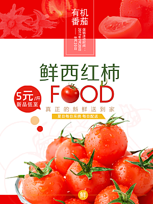 番茄西红柿海报设计素材