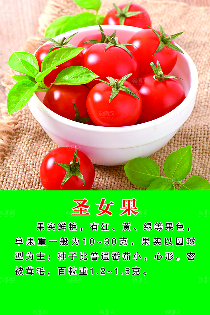 圣女果海报设计素材